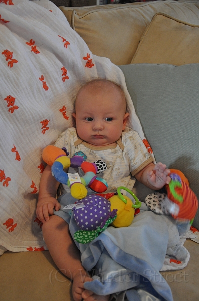 William's Eleventh Week 37.jpg